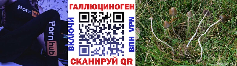 Галлюциногенные грибы мухоморы Сатка