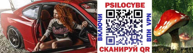 Галлюциногенные грибы Psilocybe  блэк спрут рабочий сайт  Сатка  наркошоп 